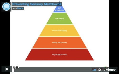 sensory meltdown example