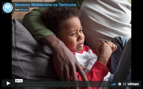 Sensory Meltdowns Vs. Tantrums - Sensory Processing Explained