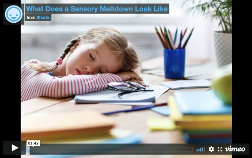 toddler hits during sensory meltdown