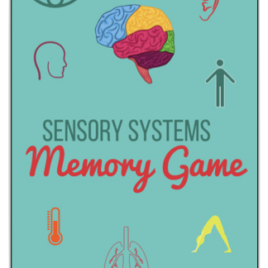 Sensory Systems Memory Game
