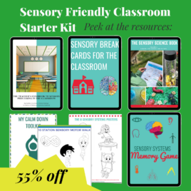 Sensory-Friendly Classroom Starter Kit (Digital Download)