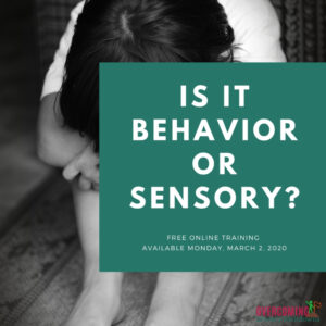 Save Your Seat - Behavior or Sensory Mini-Workshop