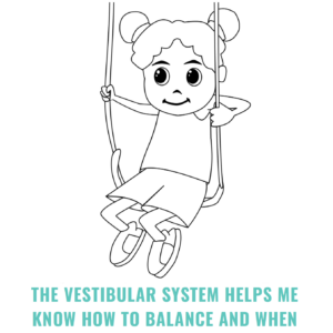Sensory Resource Printable Pack - Sensory Processing Explained