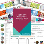 Sensory Resource Printable Pack - Sensory Processing Explained