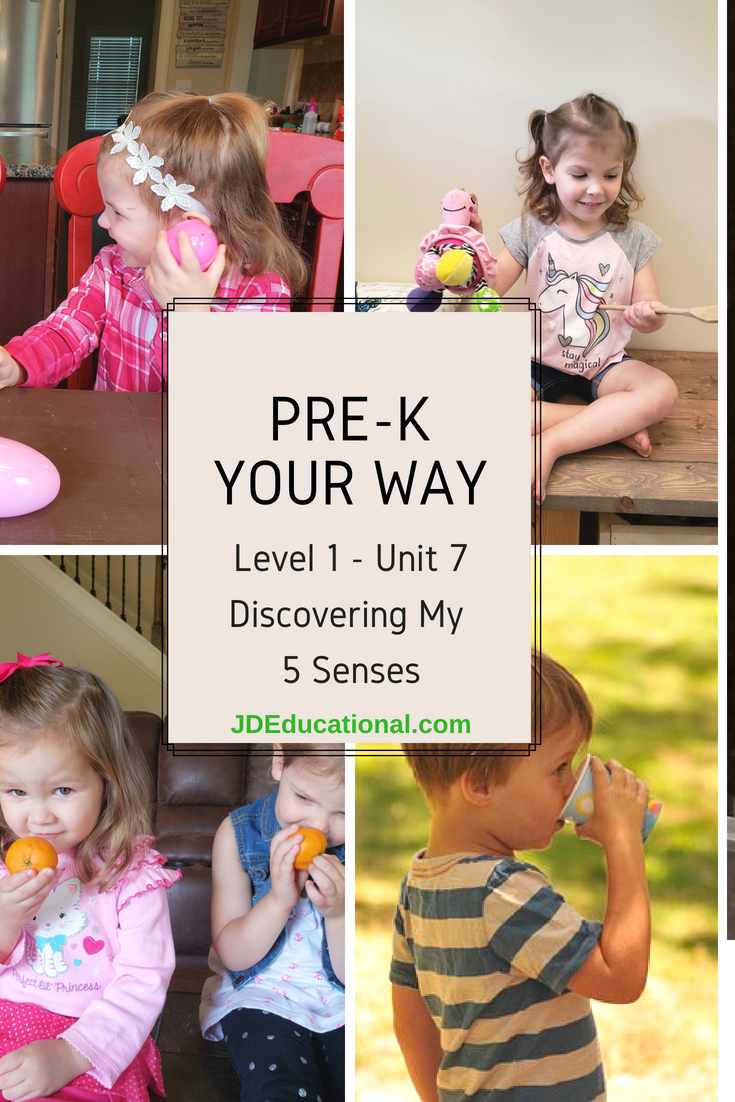 l1-unit-7-jeana-kinne-sensory-processing-explained