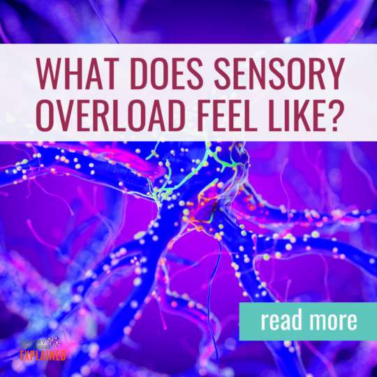An Introduction To The 8 Sensory Systems Sensory Processing Explained